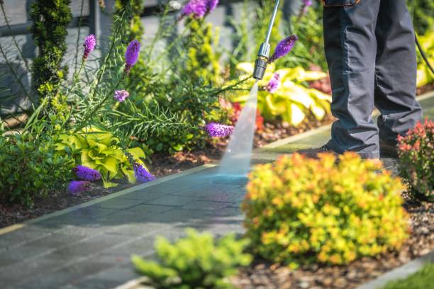 Best House Exterior Washing  in Norwood, NY